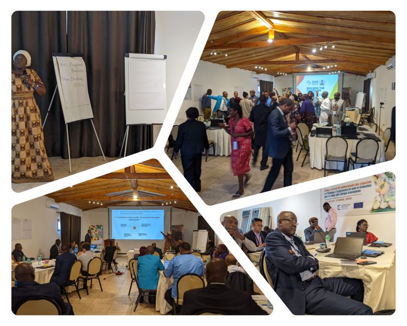 Formation régionale MEAL pour les pays SUN d’Afrique francophone